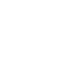 sgdv